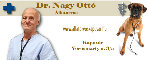 Állatorvosi rendelő www.allatorvoskapuvar.hu, 